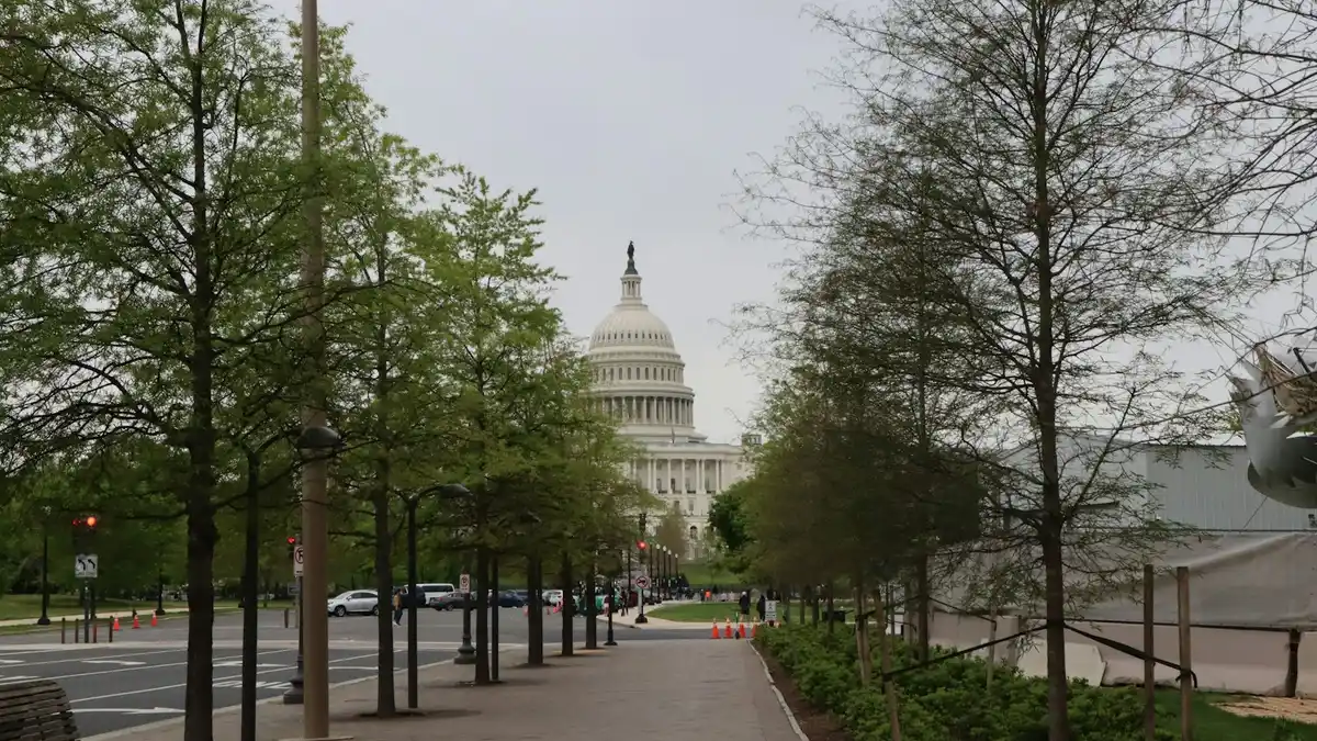 Capitolio de Washington D.C. con la cúpula iluminada y la explanada del National Mall